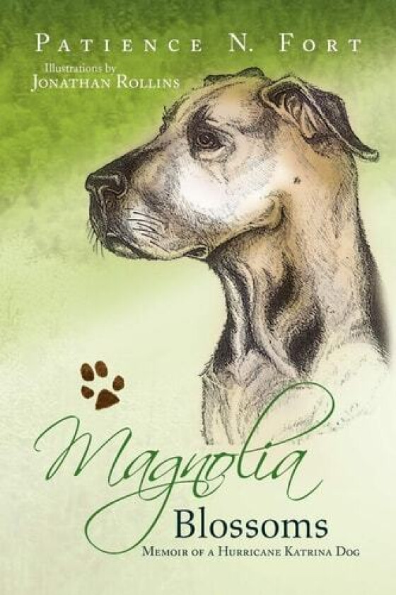 Magnolia Blossoms av Patience N Fort (Paperback)