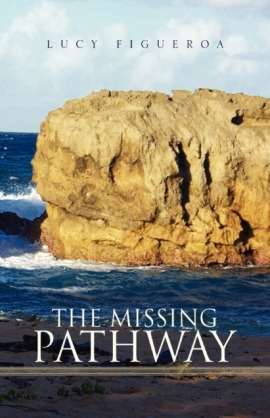 The Missing Pathway av Lucy Figueroa (Paperback)