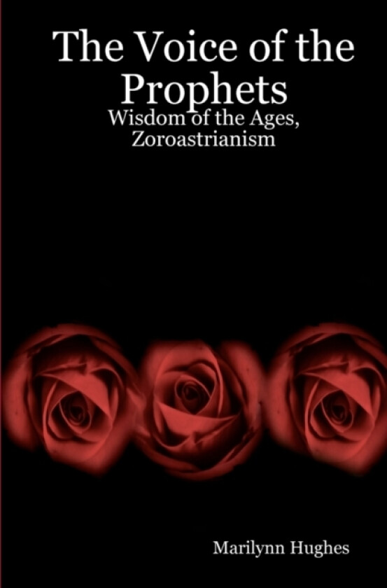 The Voice Of The Prophets av Marilynn Hughes (Paperback)