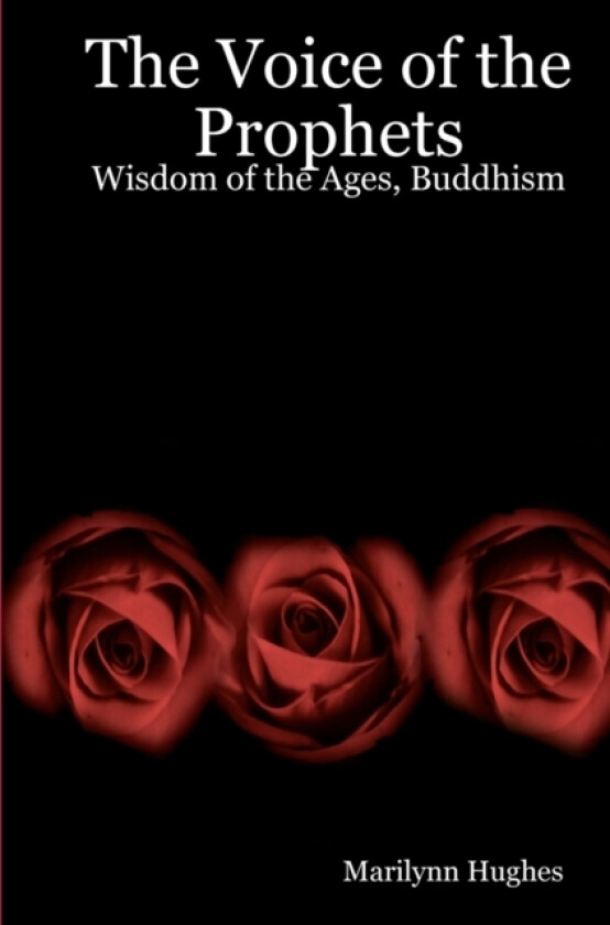 The Voice Of The Prophets av Marilynn Hughes (Paperback)