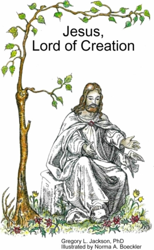 Jesus, Lord of Creation av Gregory L PhD Jackson (Paperback)