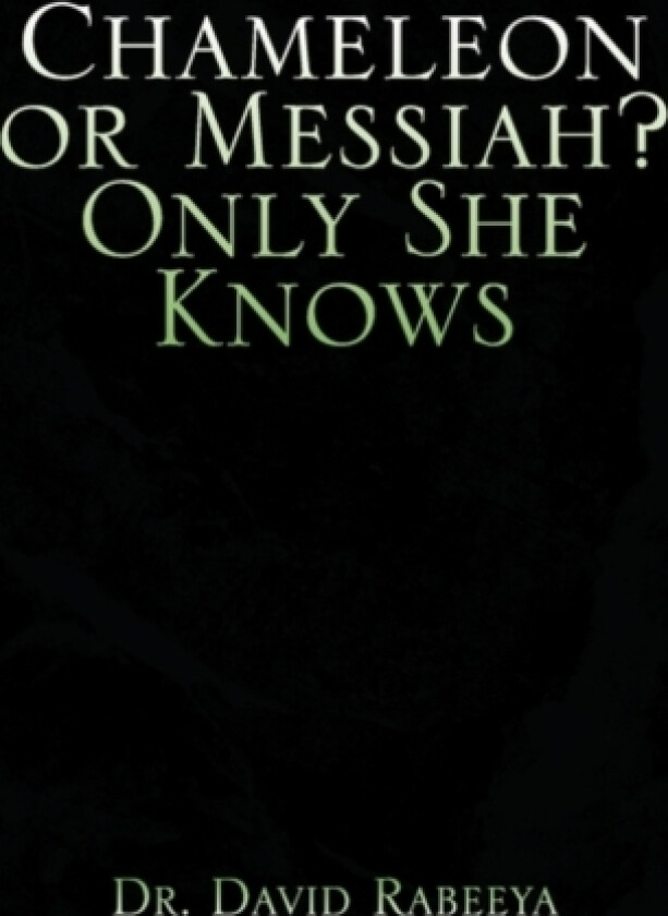 Chameleon or Messiah? Only She Knows av Rabbi David PH.D. Rabeeya (Paperback)