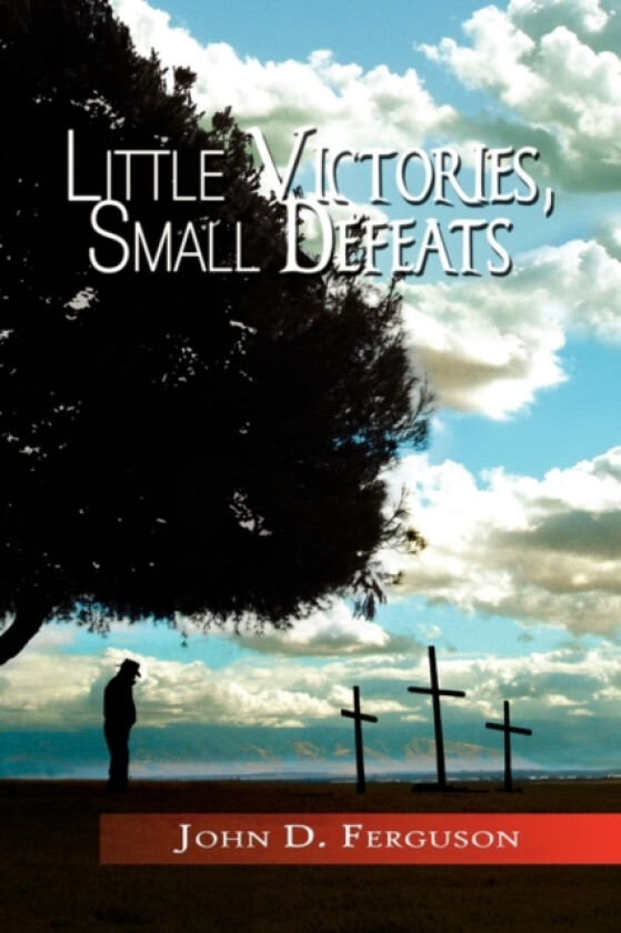 Little Victories, Small Defeats av John D Ferguson (Paperback)