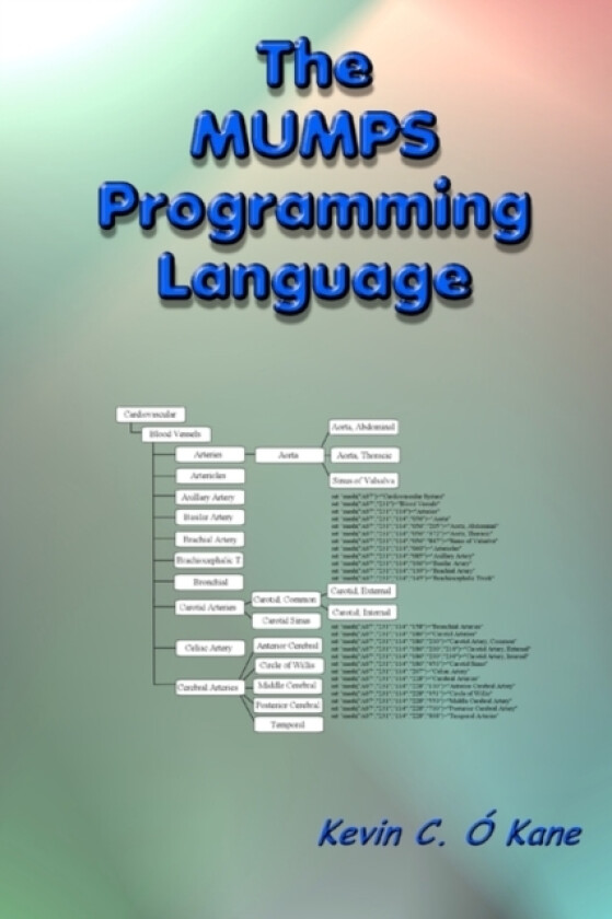 The Mumps Programming Language av Kevin C O'Kane (Paperback)