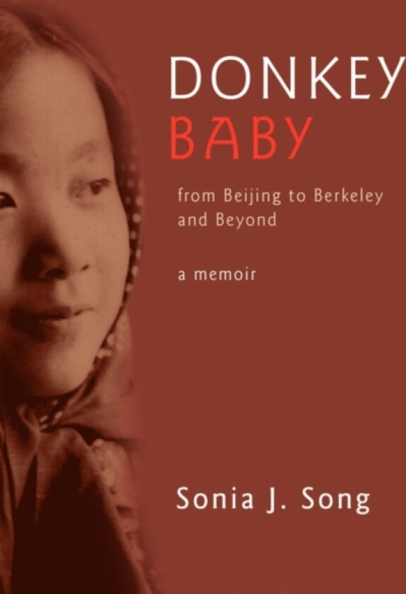 Donkey Baby av Sonia J. Song (Paperback)
