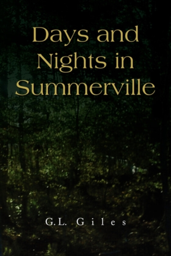 Days and Nights in Summerville av G L Giles (Paperback)