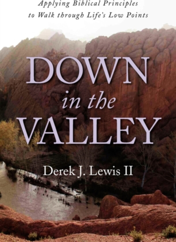 Down in the Valley av Derek J II Lewis (Paperback)