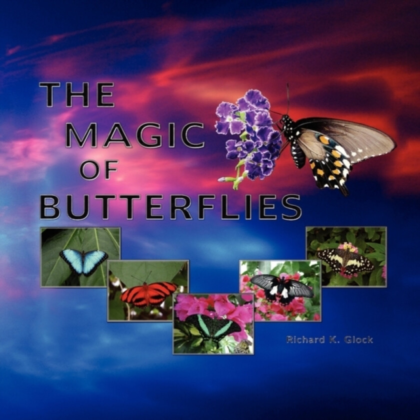 The Magic of Butterflies av Richard K Glock (Paperback)