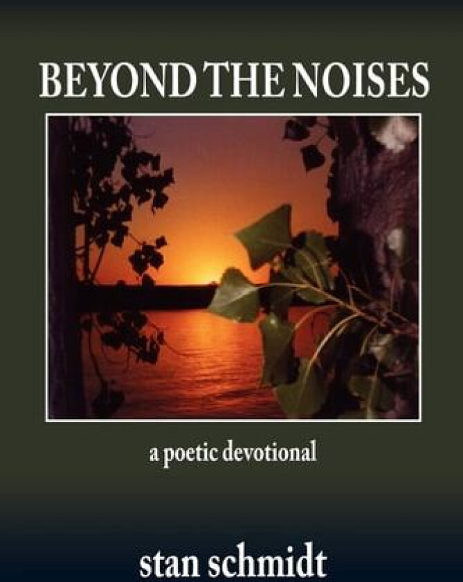 Beyond The Noises av stan schmidt (Paperback)
