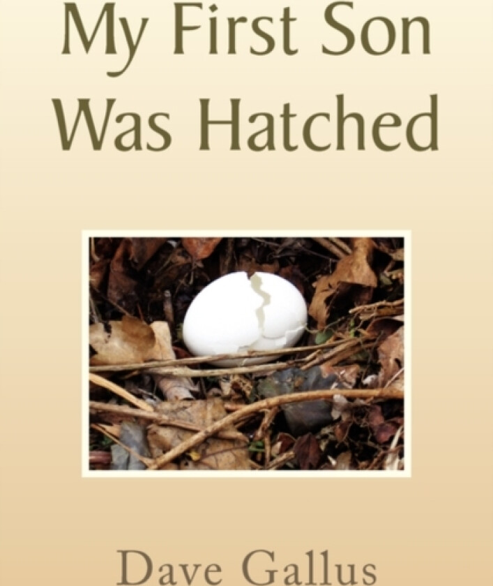 My First Son Was Hatched av Dave Gallus (Paperback)