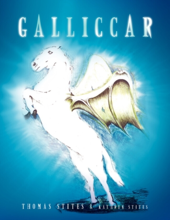 Galliccar av Thomas Stites & Kathryn Stites (Paperback)