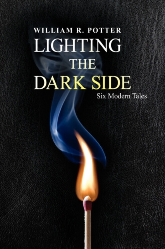 Lighting the Dark Side av William R Potter (Paperback)