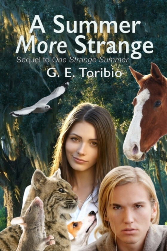 A Summer More Strange av G E Toribio (Paperback)