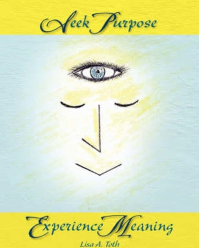 Seek Purpose Experience Meaning av Lisa A Toth (Paperback)