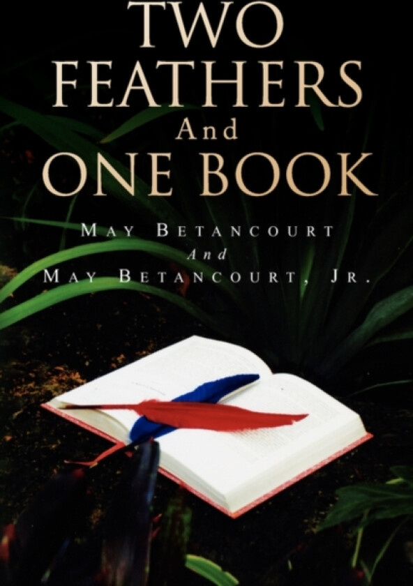Two Feathers and One Book av Jr May Betancourt and May Betancourt (Hardcover)