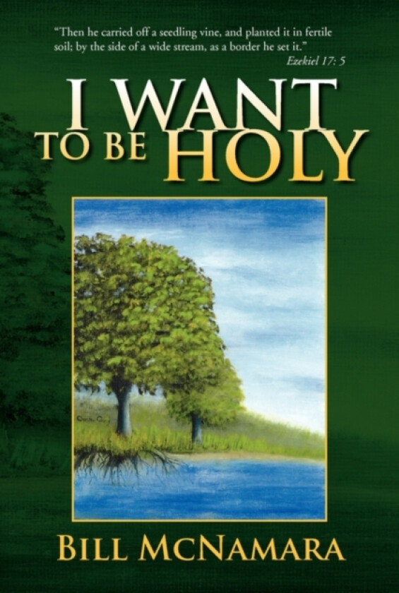I Want to Be Holy av Bill McNamara (Paperback)