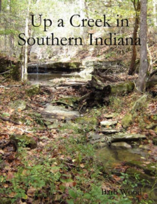 Up a Creek in Southern Indiana av Barb Wood (Paperback)
