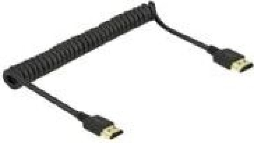 - High Speed - HDMI-kabel med Ethernet - HDMI hann til HDMI hann - 1.5 m - trippel beskyttelse - svart - rullet sammen, 4K-støtte
