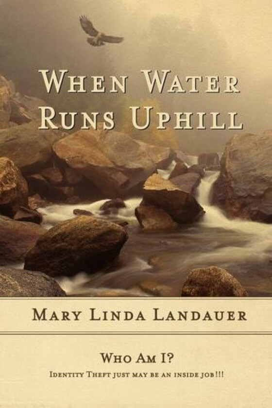 When Water Runs UpHill av Mary Linda Landauer (Paperback)