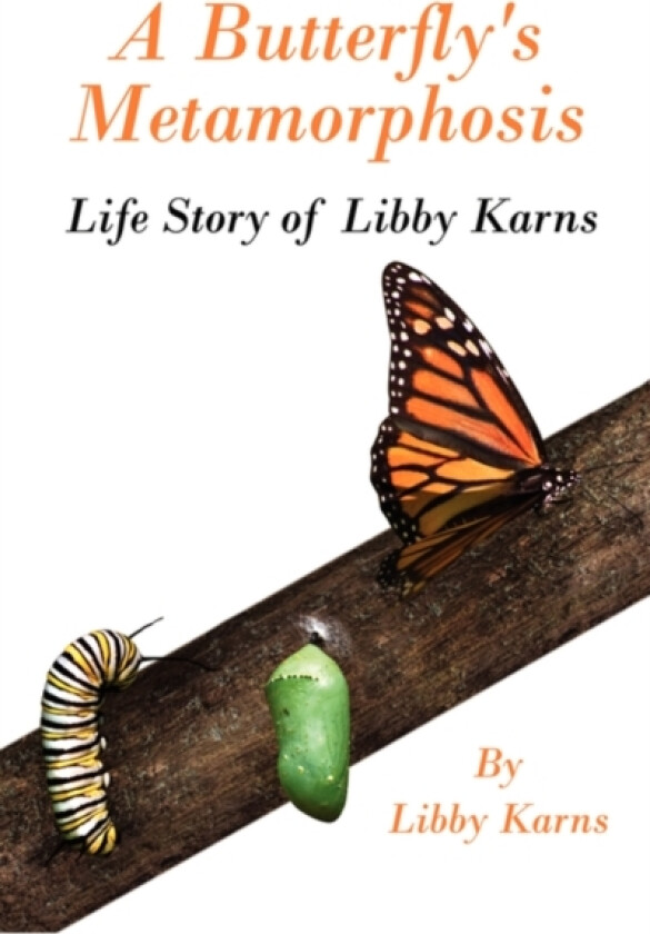 A Butterfly's Metamorphosis av Libby Karns (Paperback)