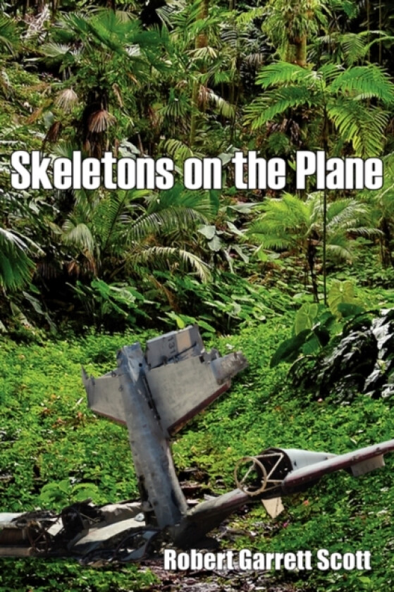 Skeletons on the Plane av Robert Garrett Scott (Paperback)