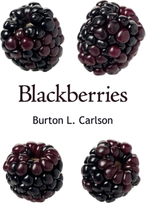Blackberries av Burton L Carlson (Paperback)