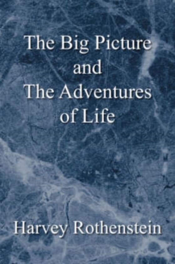 The Big Picture and the Adventures of Life av Harvey Rothenstein (Paperback)