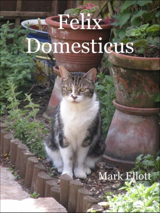 Felix Domesticus av Mark Ellott (Paperback)