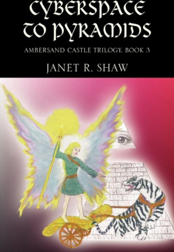 From Cyberspace to Pyramids av Janet R Shaw (Paperback)