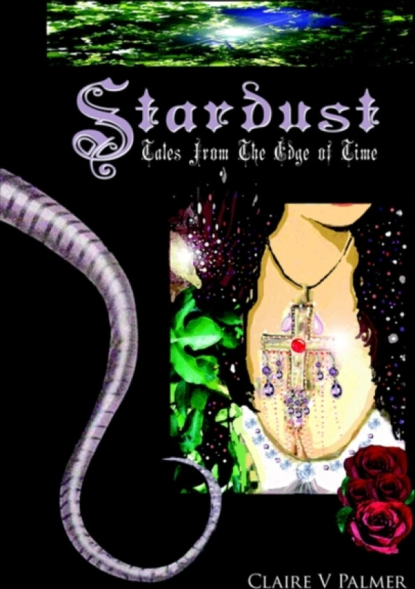 Stardust av Claire V Palmer (Paperback)