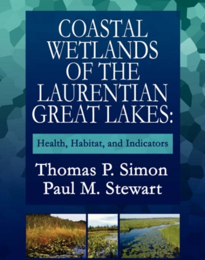 Coastal Wetlands of the Laurentian Great Lakes av Thomas P. Simon, Paul M. Stewart (Paperback)
