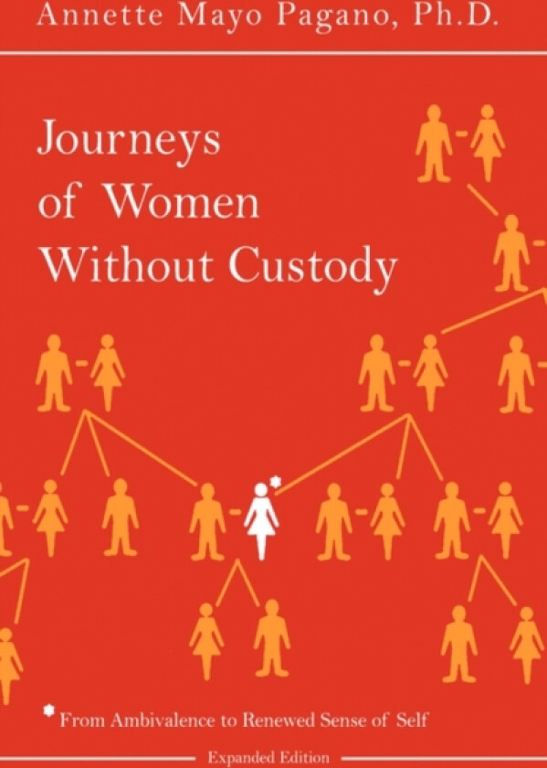 Journeys of Women Without Custody av Annette Mayo Pagano (Hardcover)