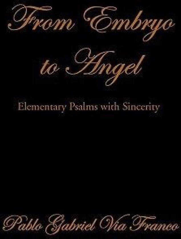 From Embryo to Angel av Pablo Gabriel Via Franco (Paperback)