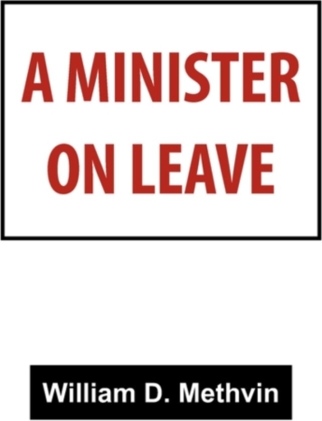 A Minister on Leave av William D Methvin (Paperback)