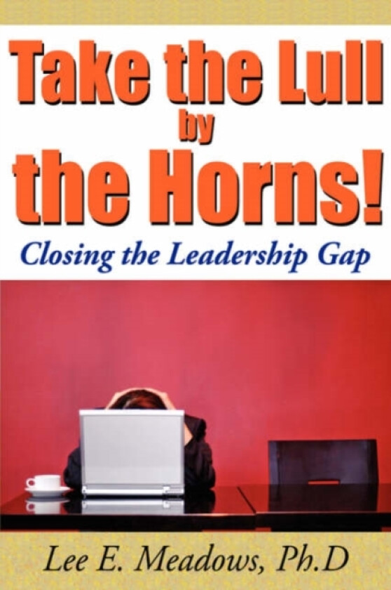 Take the Lull By the Horns! av Lee E. Meadows (Paperback)