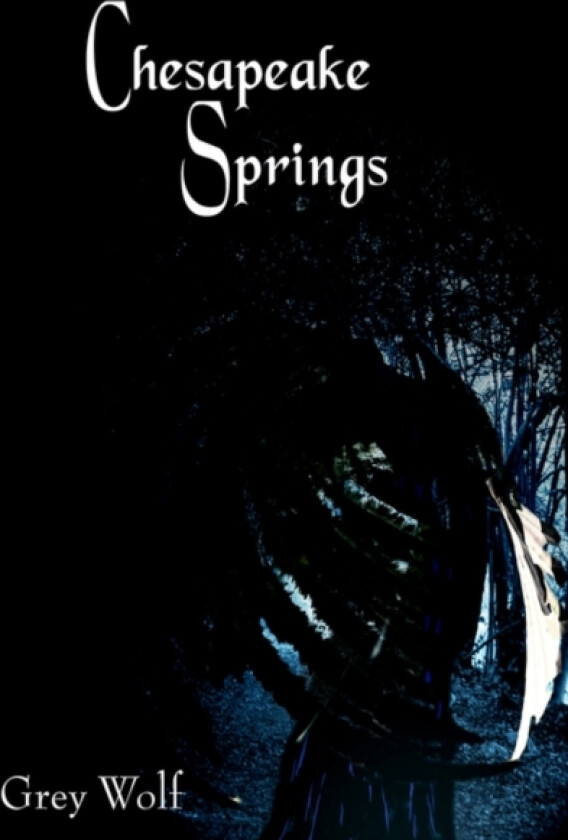 Chesapeake Springs av Grey Wolf (Hardcover)