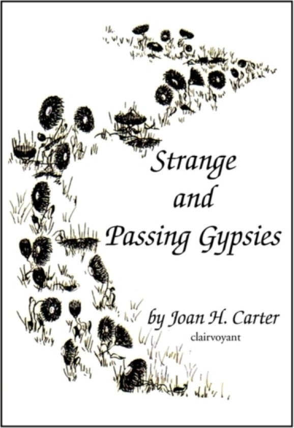 Strange and Passing Gypsies av Joan H Carter (Hardcover)