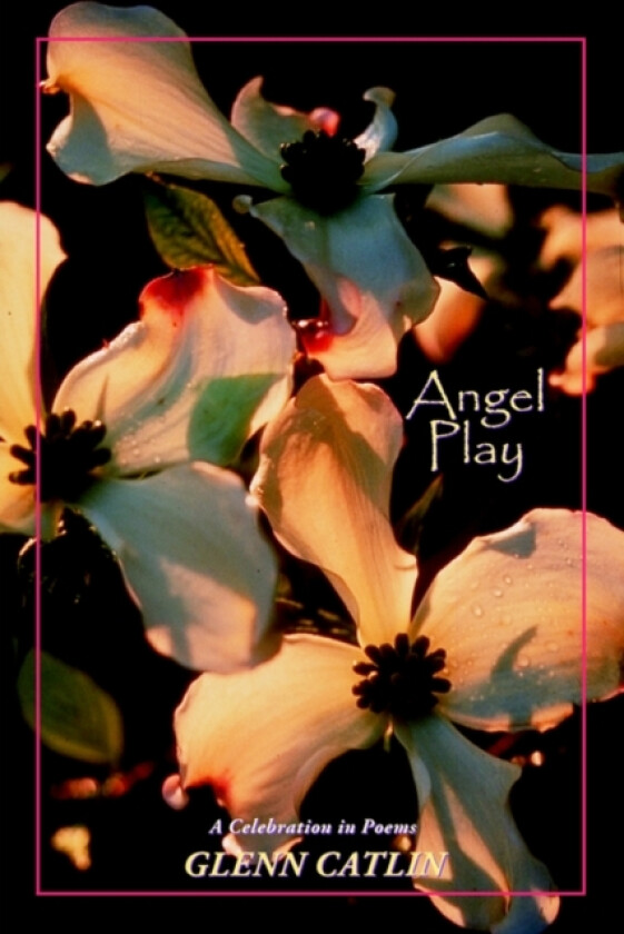 Angel Play av Rev.Dr.Glenn Catlin (Paperback)