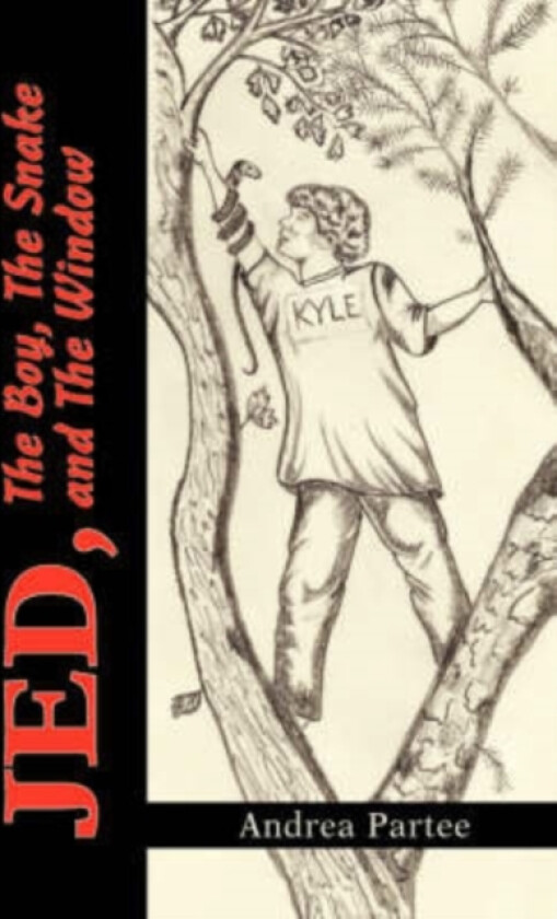 Jed, the Boy, the Snake and the Window av Andrea Partee (Paperback)