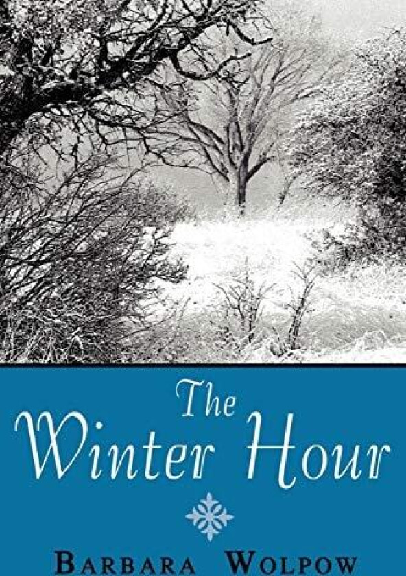 The Winter Hour av Barbara Wolpow (Paperback)