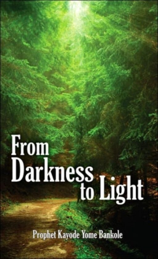 From Darkness to Light av Prophet Kayode Yome Bankole (Paperback)