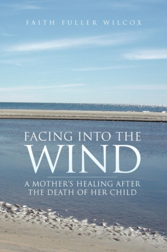Facing Into the Wind av Faith Fuller Wilcox (Paperback)