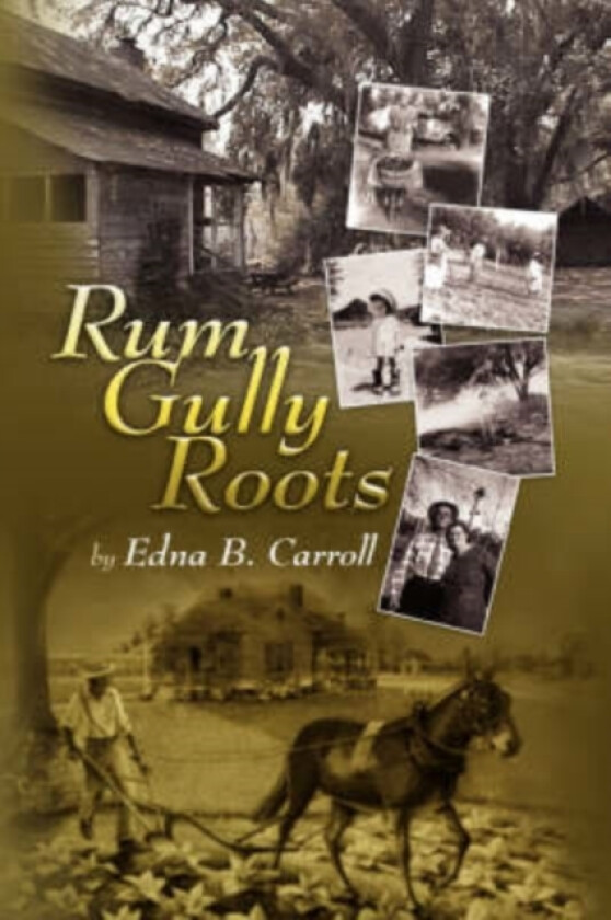 Rum Gully Roots av Edna B Carroll (Paperback)