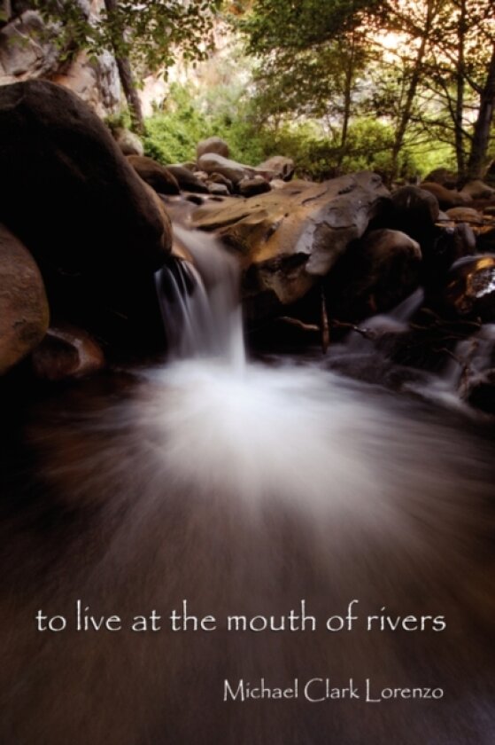 To Live at the Mouth of Rivers av Michael Clark Lorenzo (Hardcover)