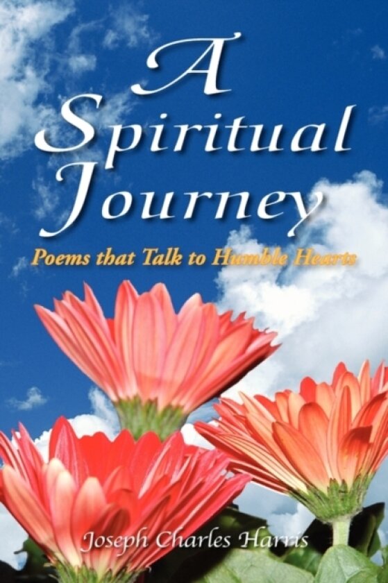 A Spiritual Journey av Joseph P Policape (Paperback)