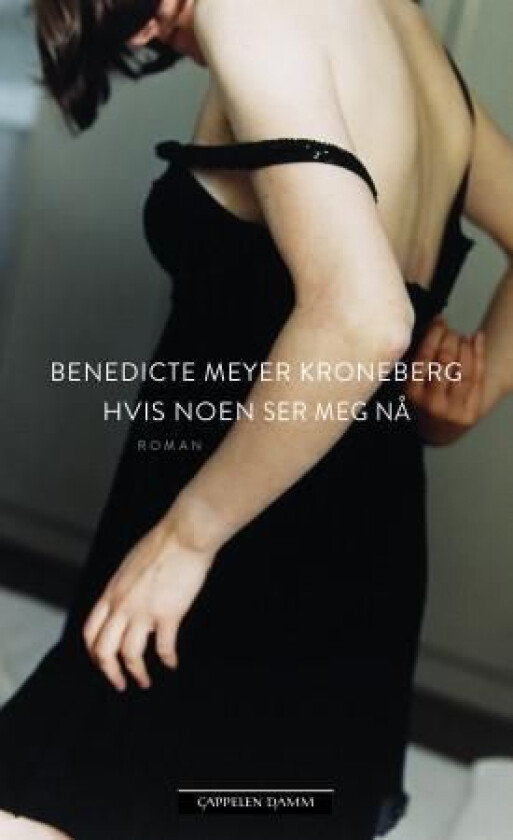 Hvis noen ser meg nå av Benedicte Meyer Kroneberg