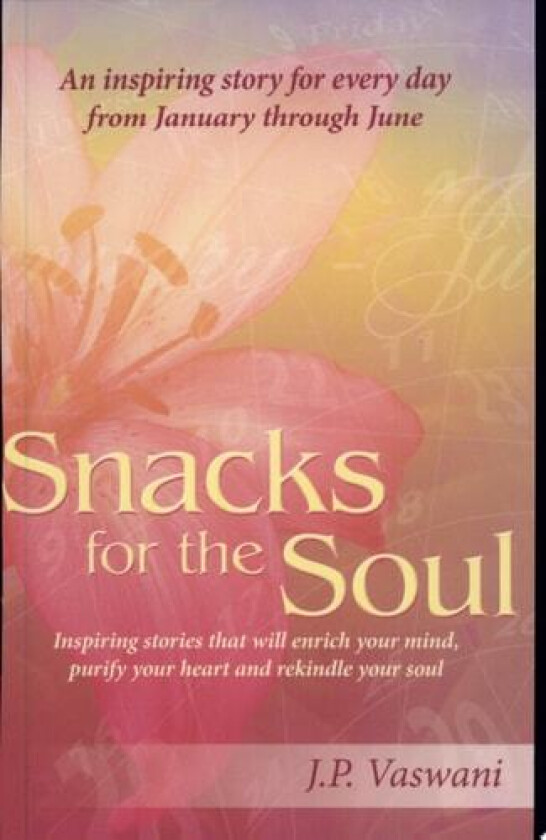Snacks for the Soul: Inspiring stories that will enrich your mind, purify your heart and rekindle your soul av J.P. Vaswani (Paperback)