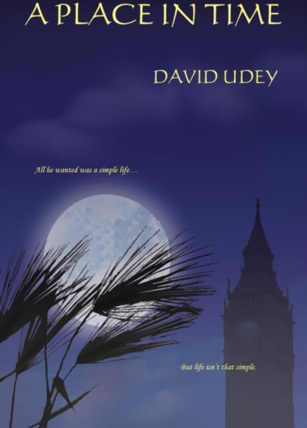 A Place in Time av David Udey (Paperback)