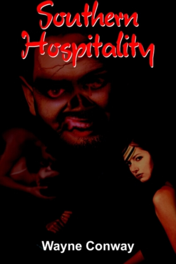 Southern Hospitality av Wayne Conway (Paperback)