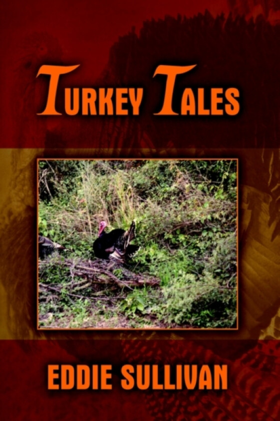 Turkey Tales av Eddie Sullivan (Paperback)